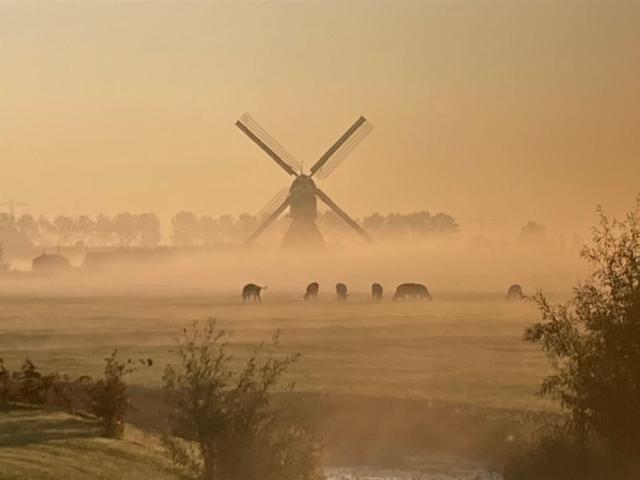 Vertoeven Bij Verhoeven Oud-Alblas エクステリア 写真